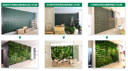 立体墙面绿化,垂直绿化,立体绿化,墙面绿化